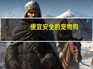 便宜安全的宠物狗