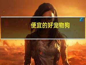 便宜的好宠物狗