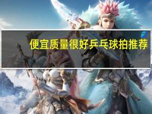 便宜质量很好乒乓球拍推荐