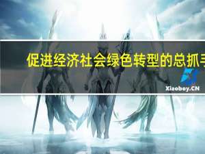 促进经济社会绿色转型的总抓手