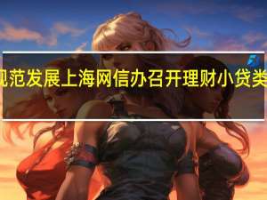 促进行业规范发展 上海网信办召开理财小贷类平台分类指导会
