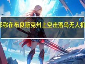 俄国防部称在布良斯克州上空击落乌无人机 乌方暂无回应