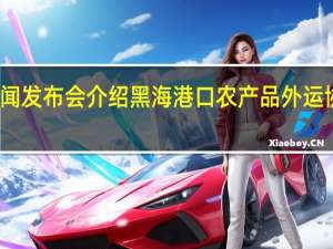 俄土外长举行新闻发布会 介绍黑海港口农产品外运协议替代方案协商情况