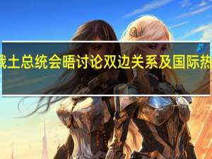 俄土总统会晤讨论双边关系及国际热点问题