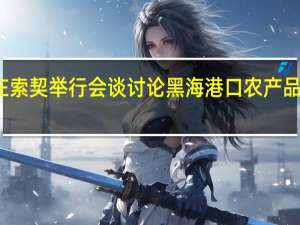 俄土总统在索契举行会谈讨论黑海港口农产品外运协议等问题
