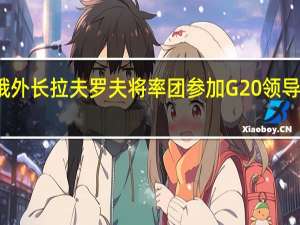 俄外长拉夫罗夫将率团参加G20领导人峰会
