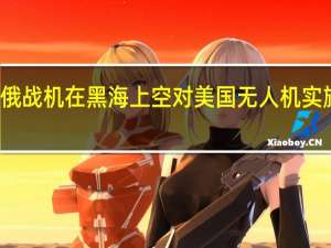 俄战机在黑海上空对美国无人机实施伴飞