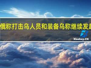 俄称打击乌人员和装备 乌称继续发起进攻