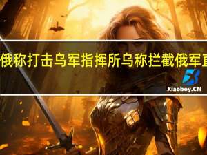 俄称打击乌军指挥所 乌称拦截俄军直升机