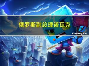 俄罗斯副总理诺瓦克：当前油价反映了风险和中东冲突