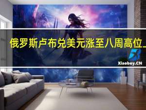俄罗斯卢布兑美元涨至八周高位上方