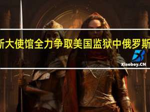 俄罗斯大使馆全力争取美国监狱中俄罗斯公民的释放