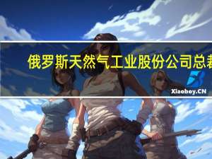 俄罗斯天然气工业股份公司总裁：公司储存了728亿立方米的天然气