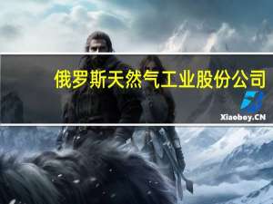 俄罗斯天然气工业股份公司：上半年收入为4.11万亿卢布市场预计为4.08万亿卢布；上半年净利润为2962.4亿卢布市场预计为3630亿卢布