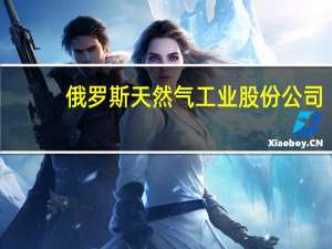 俄罗斯天然气工业股份公司：将继续通过乌克兰向欧洲输送天然气周日输送量为4190万立方米