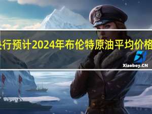 俄罗斯央行预计2024年布伦特原油平均价格为每桶80美元