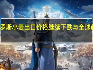 俄罗斯小麦出口价格继续下跌与全球趋势相反