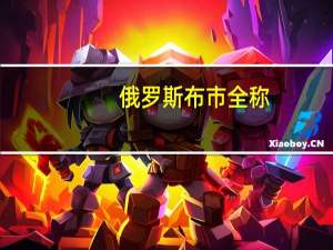 俄罗斯布市全称