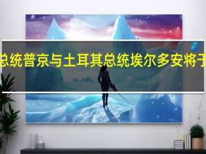 俄罗斯总统普京与土耳其总统埃尔多安将于4日举行会晤