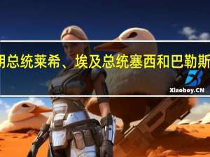 俄罗斯总统普京在与叙利亚总统阿萨德、伊朗总统莱希、埃及总统塞西和巴勒斯坦领导人阿巴斯的讨论中关注巴以冲突的升级情况