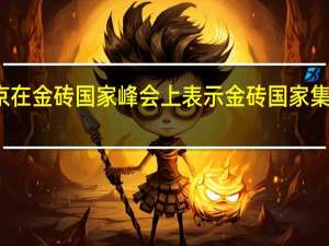 俄罗斯总统普京在金砖国家峰会上表示金砖国家集团的影响力正在增强