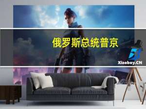 俄罗斯总统普京：我们正在与土耳其在能源领域取得进展