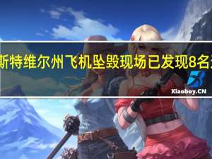 俄罗斯特维尔州飞机坠毁现场已发现8名遇难者遗体