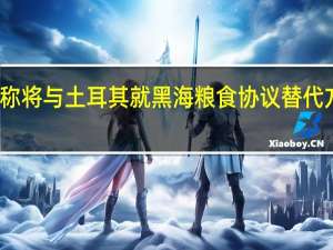 俄罗斯称将与土耳其就黑海粮食协议替代方案举行会谈