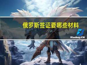 俄罗斯签证要哪些材料(俄罗斯自由行签证攻略)