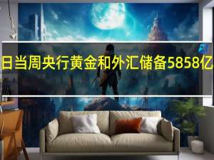 俄罗斯至8月11日当周央行黄金和外汇储备 5858亿美元前值5866亿美元