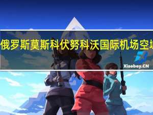 俄罗斯莫斯科伏努科沃国际机场空域关闭