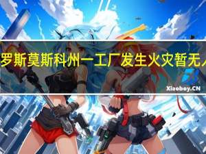 俄罗斯莫斯科州一工厂发生火灾暂无人员伤亡