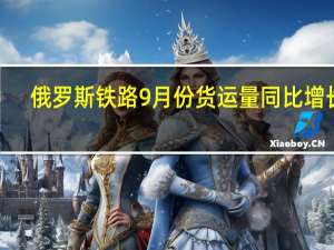 俄罗斯铁路9月份货运量同比增长0.2%至1.009亿吨