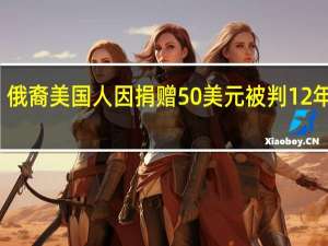 俄裔美国人因捐赠50美元被判12年监禁