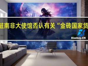 俄驻南非大使馆否认有关“金砖国家货币”消息：这是纪念钞