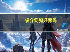 俊介狗狗好养吗