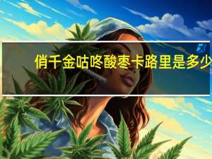 俏千金 咕咚酸枣卡路里是多少