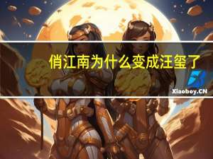 俏江南为什么变成汪玺了
