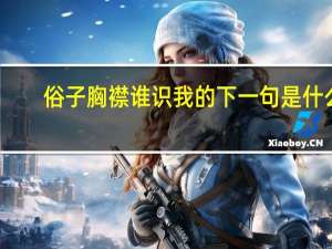 俗子胸襟谁识我的下一句是什么