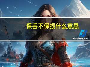 保丢不保损什么意思