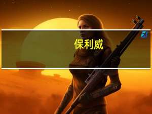 保利威（关于保利威的介绍）