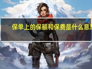 保单上的保额和保费是什么意思