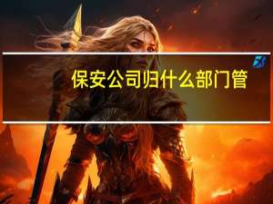 保安公司归什么部门管