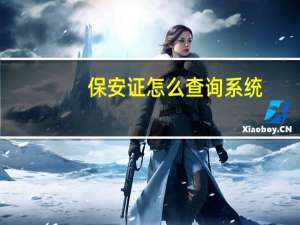 保安证怎么查询系统