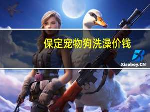 保定宠物狗洗澡价钱