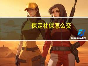 保定社保怎么交