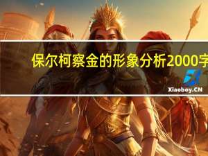 保尔柯察金的形象分析2000字（保尔柯察金的形象分析句子）