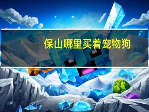 保山哪里买着宠物狗