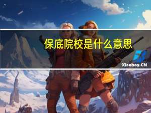 保底院校是什么意思