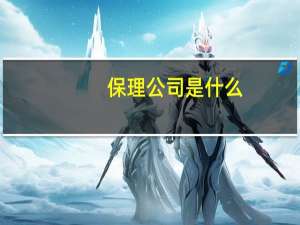 保理公司是什么